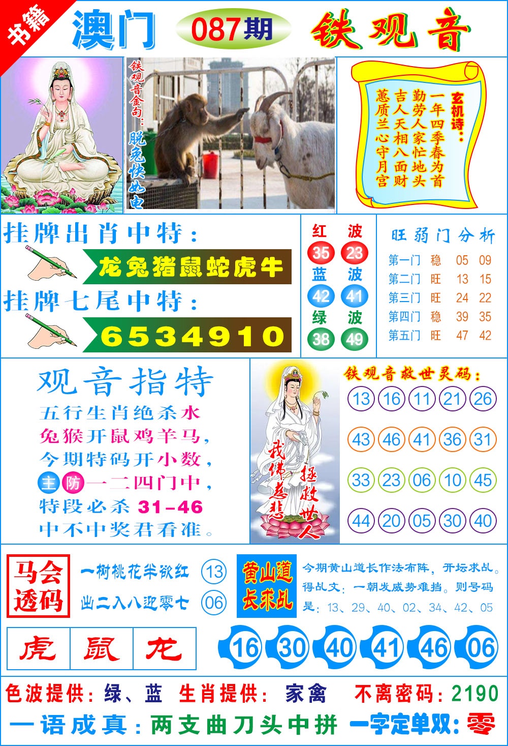 087期澳门铁观音[图]